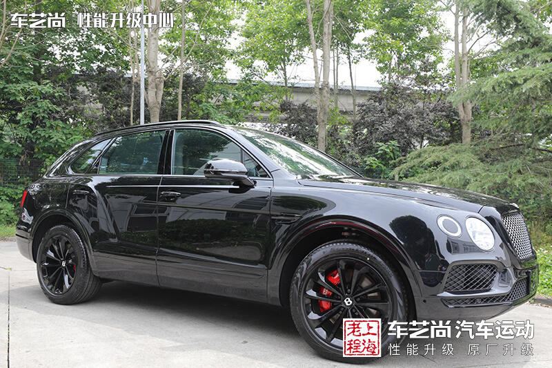 进口烤漆亮黑处理