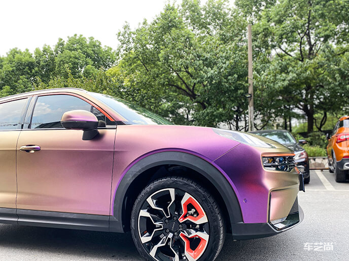 变色龙酱紫改色效果展示